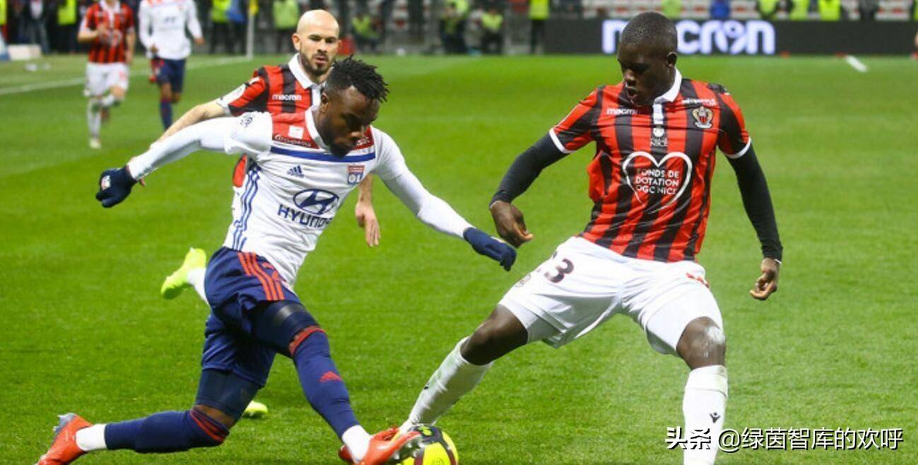 深圳男篮训练开放日，国际比赛日强势反弹引欢呼，法甲在即，赛程密集仍需轮换的简单介绍